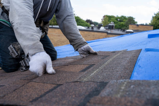Best New Roof Installation  in Blaine, MN