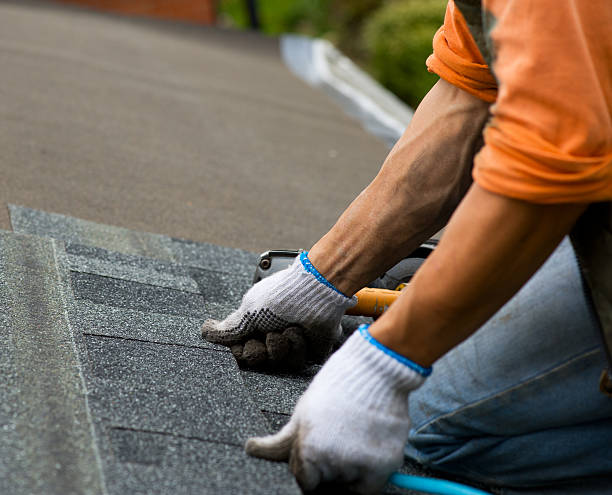 Best Storm Damage Roof Repair  in Blaine, MN